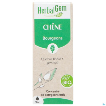 Herbalgem chene bio    30ml