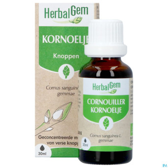 Herbalgem cornouill bio    30ml