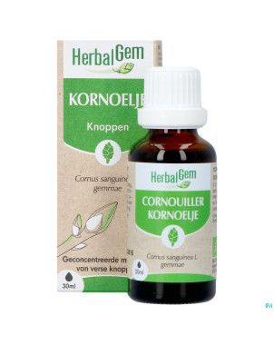 Herbalgem cornouill bio    30ml