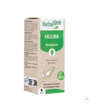 Herbalgem figuier bio    30ml