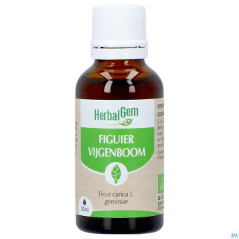 Herbalgem figuier bio    30ml