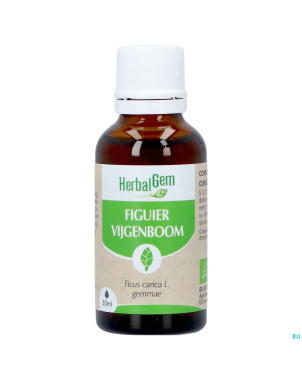 Herbalgem figuier bio    30ml