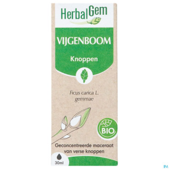 Herbalgem figuier bio    30ml