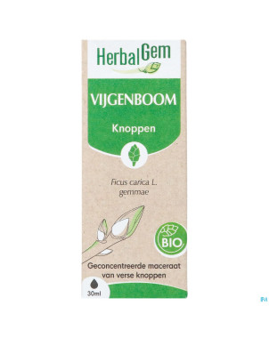 Herbalgem figuier bio    30ml