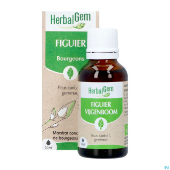 Herbalgem figuier bio    30ml
