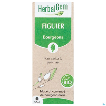 Herbalgem figuier bio    30ml