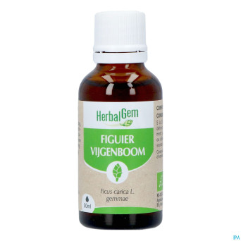 Herbalgem figuier bio    30ml