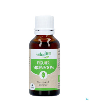 Herbalgem figuier bio    30ml