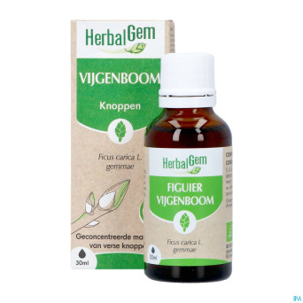 Herbalgem figuier bio    30ml