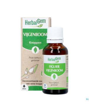 Herbalgem figuier bio    30ml