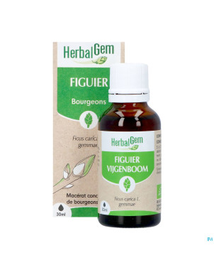 Herbalgem figuier bio    30ml