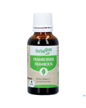 Herbalgem frambois bio    30ml