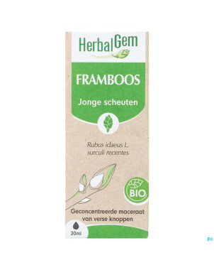 Herbalgem frambois bio    30ml