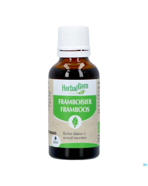 Herbalgem frambois bio    30ml