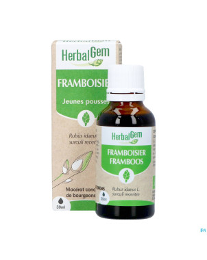 Herbalgem frambois bio    30ml