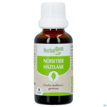 Herbalgem noisetier bio    30ml