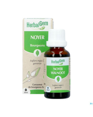 Herbalgem noyer bio    30ml