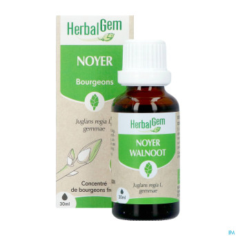 Herbalgem noyer bio    30ml