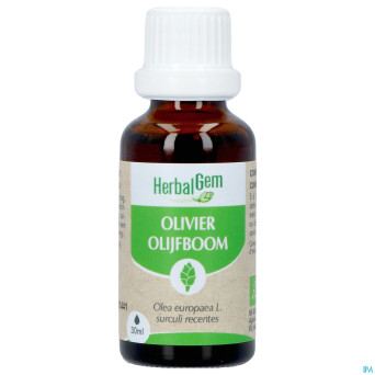 Herbalgem olivier bio    30ml