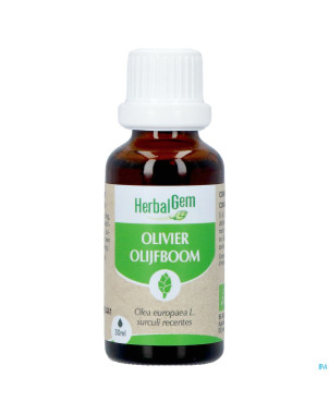 Herbalgem olivier bio    30ml