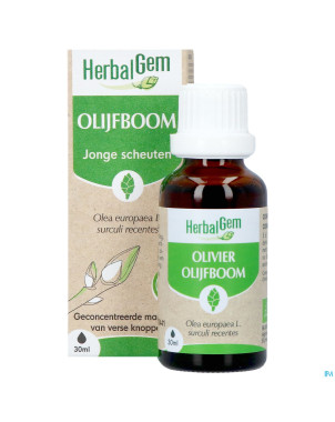 Herbalgem olivier bio    30ml