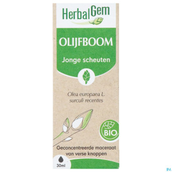 Herbalgem olivier bio    30ml