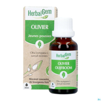 Herbalgem olivier bio    30ml