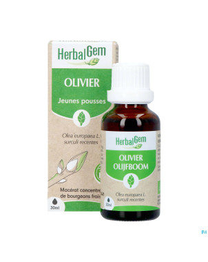 Herbalgem olivier bio    30ml