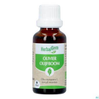 Herbalgem olivier bio    30ml