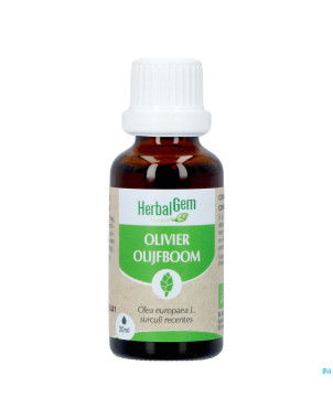 Herbalgem olivier bio    30ml