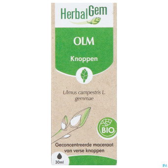Herbalgem orme bio    30ml