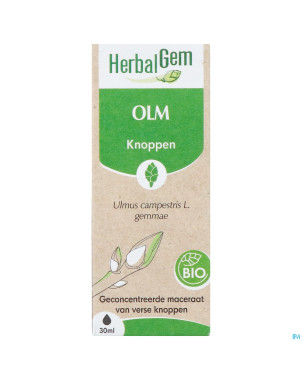 Herbalgem orme bio    30ml