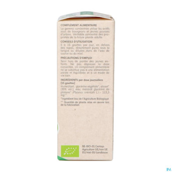 Herbalgem platane bio    30ml