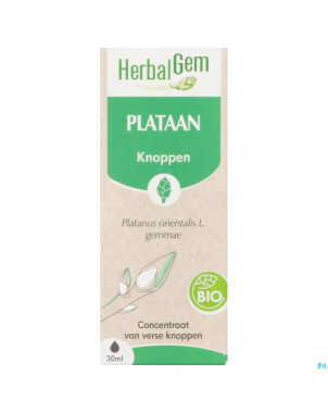 Herbalgem platane bio    30ml