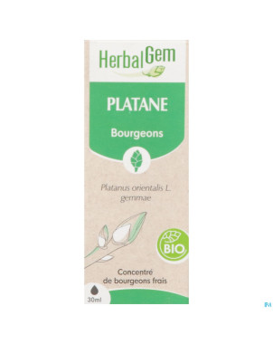 Herbalgem platane bio    30ml