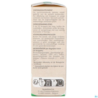 Herbalgem platane bio    30ml