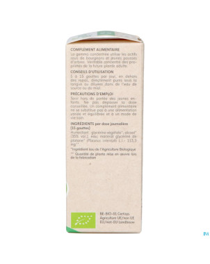 Herbalgem platane bio    30ml