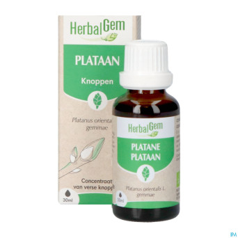 Herbalgem platane bio    30ml