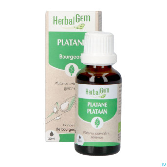 Herbalgem platane bio    30ml