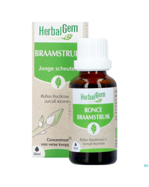 Herbalgem ronce bio    30ml