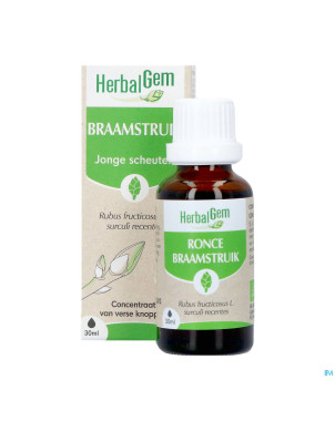 Herbalgem ronce bio    30ml