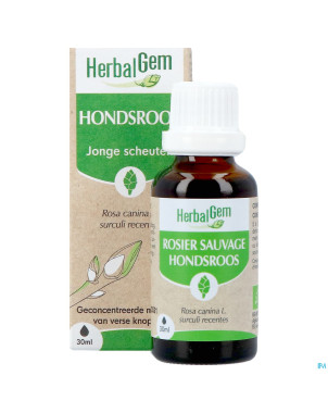 Herbalgem rosier sa bio    30ml