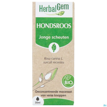 Herbalgem rosier sa bio    30ml