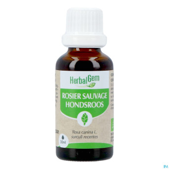 Herbalgem rosier sa bio    30ml
