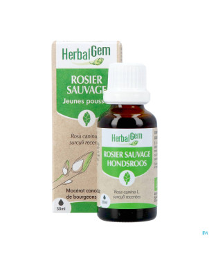 Herbalgem rosier sa bio    30ml