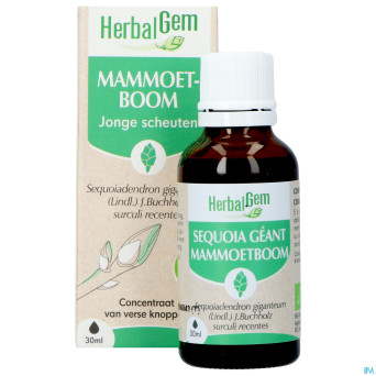 Herbalgem sequoia bio    30ml