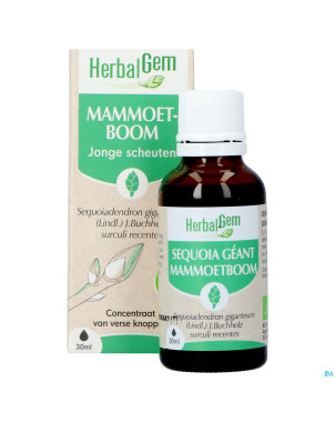 Herbalgem sequoia bio    30ml