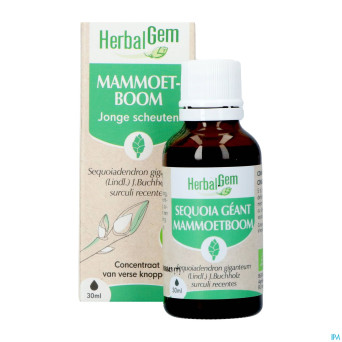 Herbalgem sequoia bio    30ml