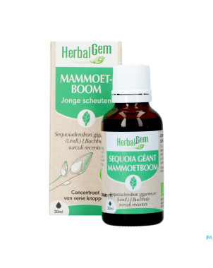 Herbalgem sequoia bio    30ml