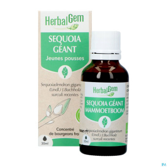 Herbalgem sequoia bio    30ml